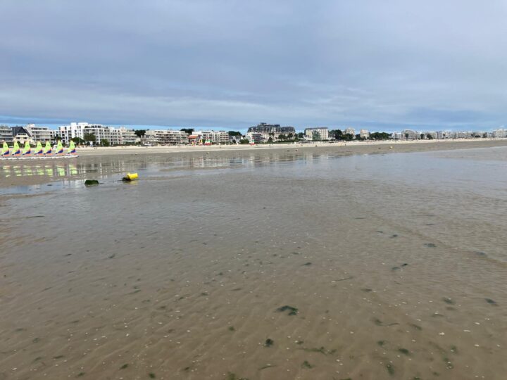 Suivi du gisement de coques à La Baule