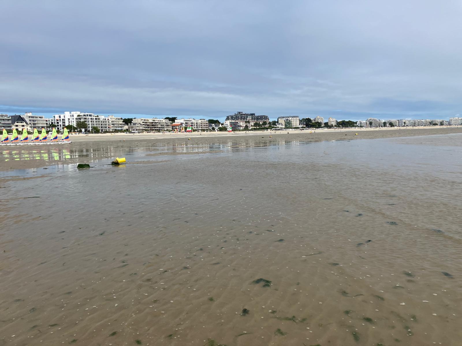 Suivi du gisement de coques à La Baule