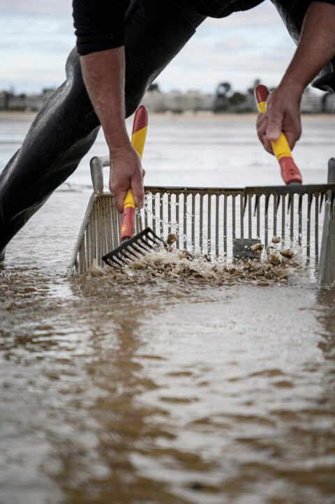 Pêcheur à pied